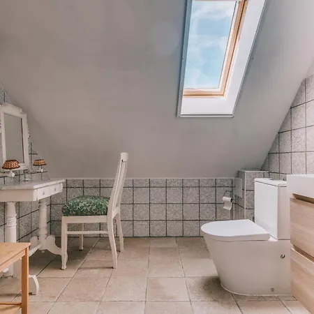 Zsalya Preshaz * Hegymagas