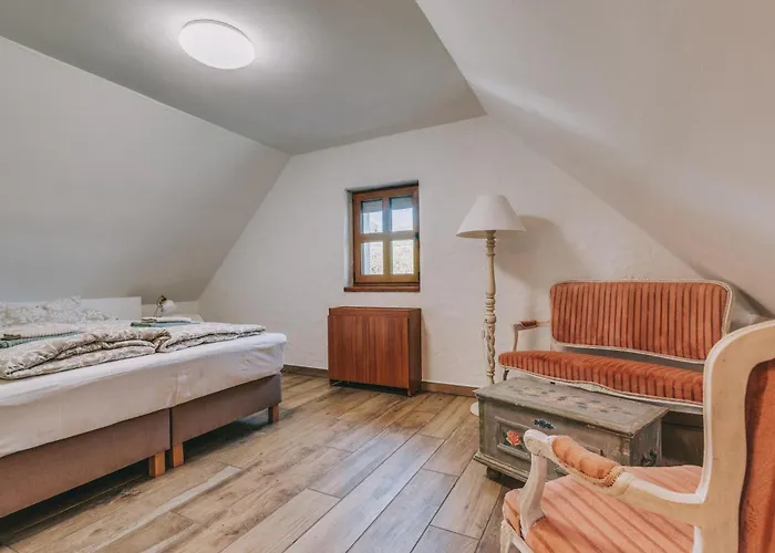 Zsalya Preshaz 펜션