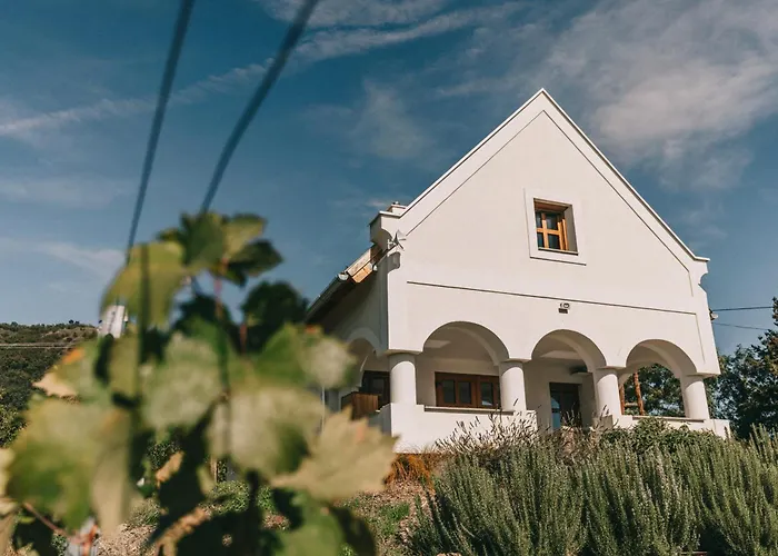 Zsalya Preshaz Hegymagas